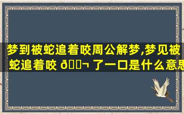 梦到被蛇追着咬周公解梦,梦见被蛇追着咬 🐬 了一口是什么意思